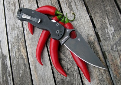 Spyderco PM2 The Chili Sessions.JPG